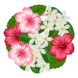 热带花朵花团