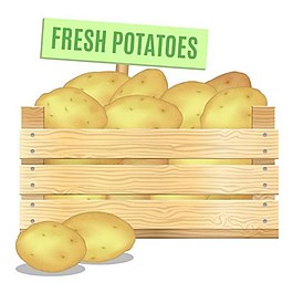 土豆背景素材