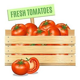 西红柿背景素材