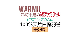短款女装字体排版设计