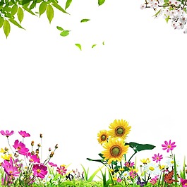 花朵青草树叶素材