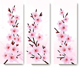 粉色的桃花