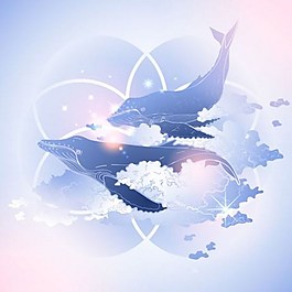海豚背景素材