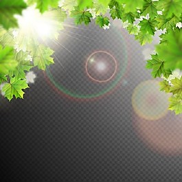 夏天叶子矢量背景