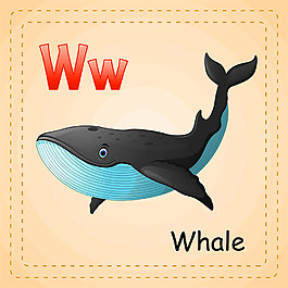 鲸鱼的英语怎么说图片