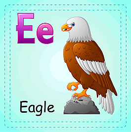 老鹰英语单词图片