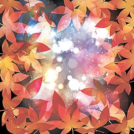 枫叶背景素材