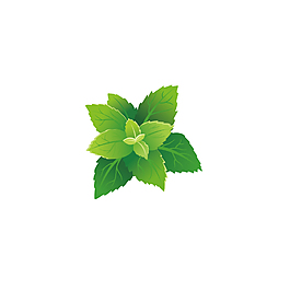 唯美手绘绿色植物