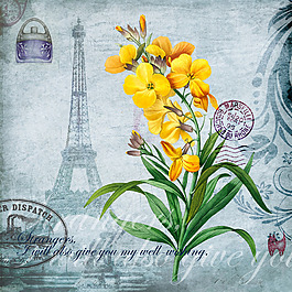 埃菲尔铁塔花朵图片