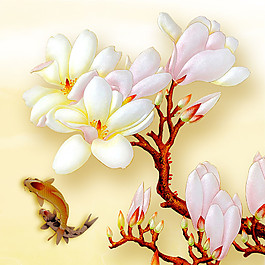 锦鲤与玉兰花图片