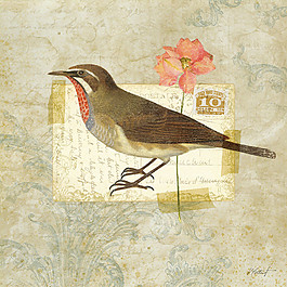 小鸟花朵装饰画图片