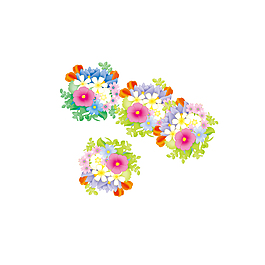 唯美清新花朵叶子