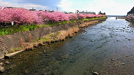 实拍河流视频素材