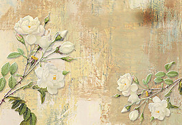 白色山茶花背景墙图片