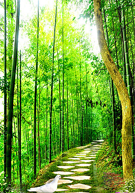 竹林小路风景图片
