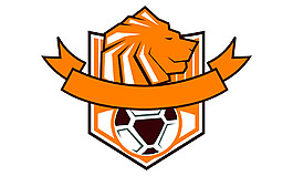 足球狮子标志图片