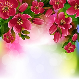 红色花背景素材