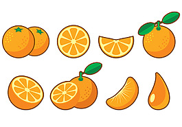 手绘橙子水果