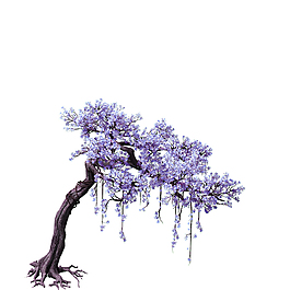 唯美浪漫梦幻淡紫色树木