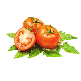 西红柿免抠元素