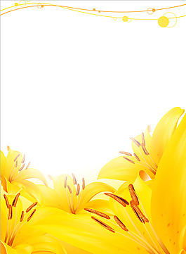 黄色花朵背景