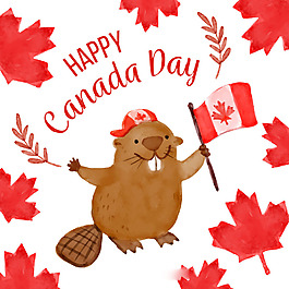 可爱的海狸加拿大国庆日水彩枫叶背景