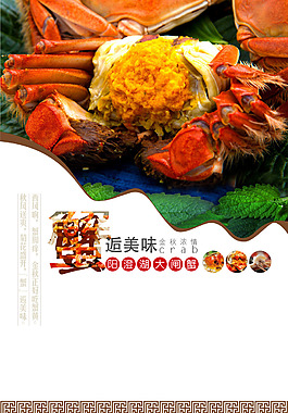 蟹黄美味海报背景