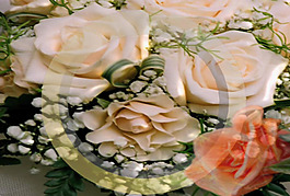 玫瑰元素花卉视频背景