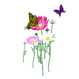 清新蝴蝶花朵元素