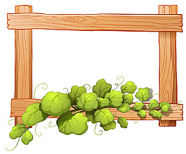 绿叶植物白色背景的木框架边框插图