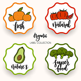 复古风格健康蔬菜水果食品贴纸图标