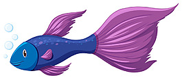 紫色的金鱼