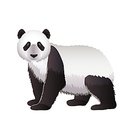 动物熊猫元素