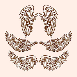 手绘写实风格翅膀双翼插图矢量素材