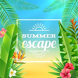 夏日暑假沙滩椰树背景图