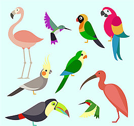 9款彩色鸟类矢量图