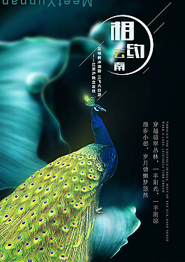 个性大气旅游海报