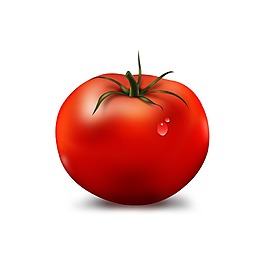 矢量番茄元素