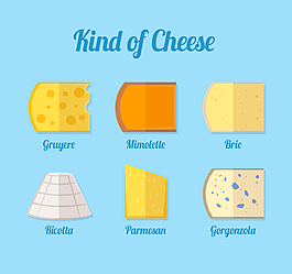 扁平化奶酪设计矢量
