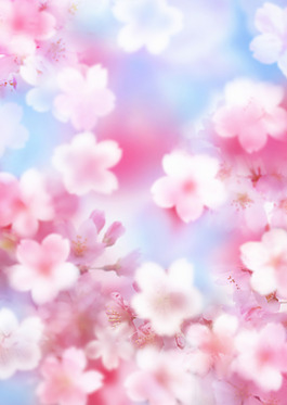 粉色花朵梦幻背景