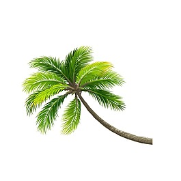 清新绿色椰子树元素