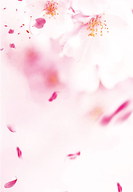 粉色花朵花蕊花瓣粉色广告素材