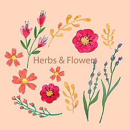 12款手绘花卉和香草