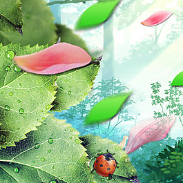 绿叶瓢虫水珠花瓣树叶高光广告背景素材