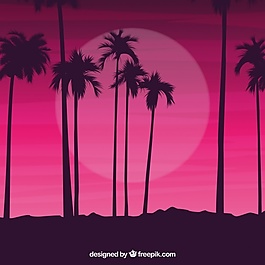夜空中的棕榈树剪影