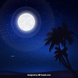 星空背景下的月亮和棕榈树