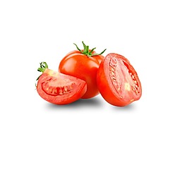 矢量红色番茄元素