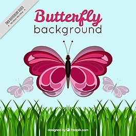 草蝴蝶背景