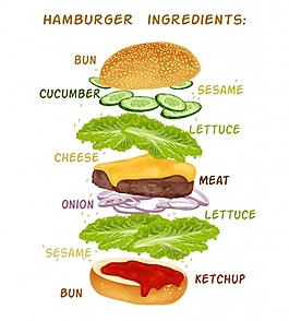 hamburguer成分设计