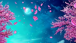 粉色花卉树木蓝色视频背景